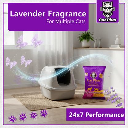 Cat Pluse Premium Clumping Cat Litter 10kg | Bentonite Cat Litter Low Dust | Strong Odour Control | Fast Clumping | Lavender Fragrance | Long Lasting for Cats & Kittens