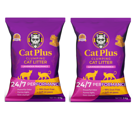 Premium Clumping Cat Litter ( 10 kg )